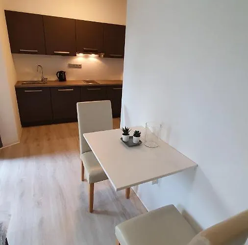 Exclusive Viva بيت ضيافة Mladá Boleslav