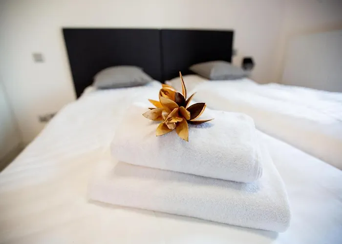 Guest house Exclusive Viva 4*